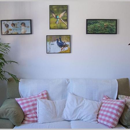 Casa De Los Pajaros Seville Ngoại thất bức ảnh
